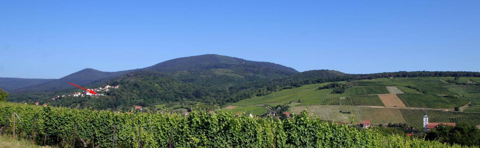 Alsace Panorama Villa Barr Exterior photo